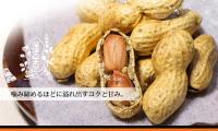 深澤ピーナッツ　さや煎　落花生　殻付き　320g