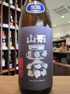 山形正宗　純米吟醸　酒未来　生酒　720ml